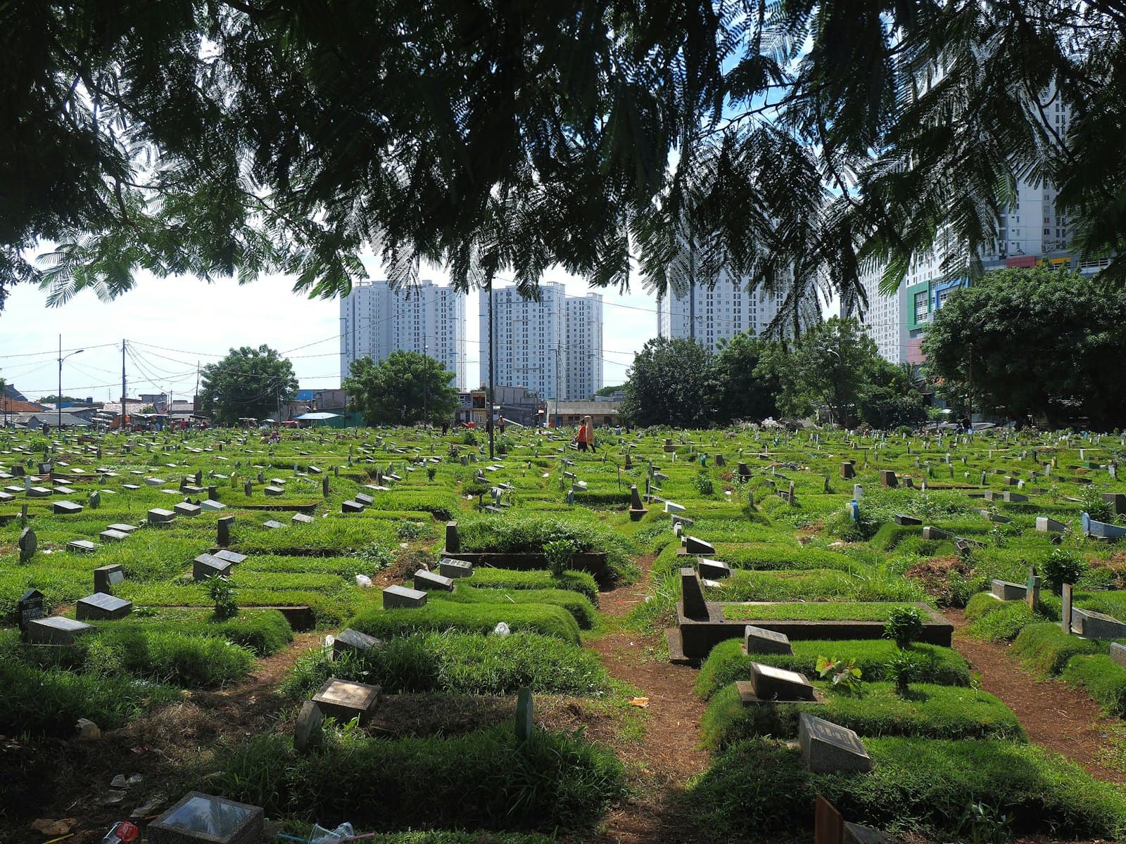 Pemakaman umum di Jakarta yang hijau dengan gedung di kejauhan.