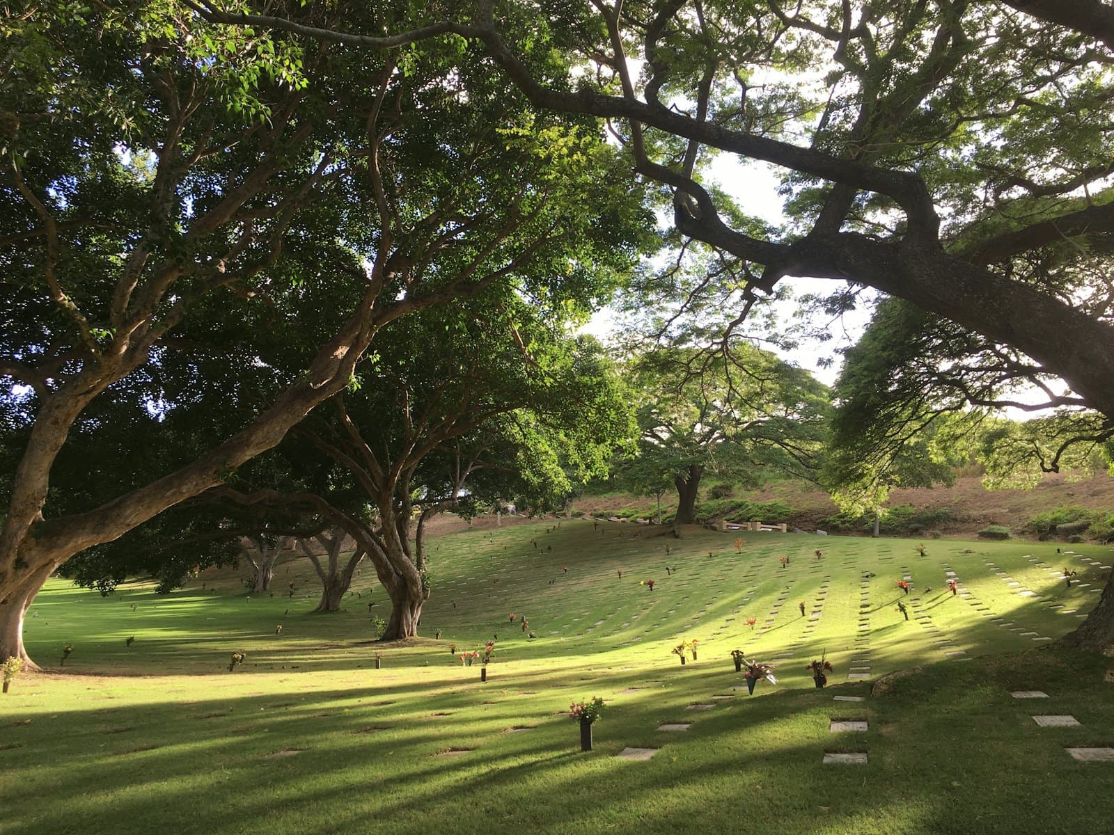 Area makam yang teduh dengan rumput terawat dan pohon besar.
